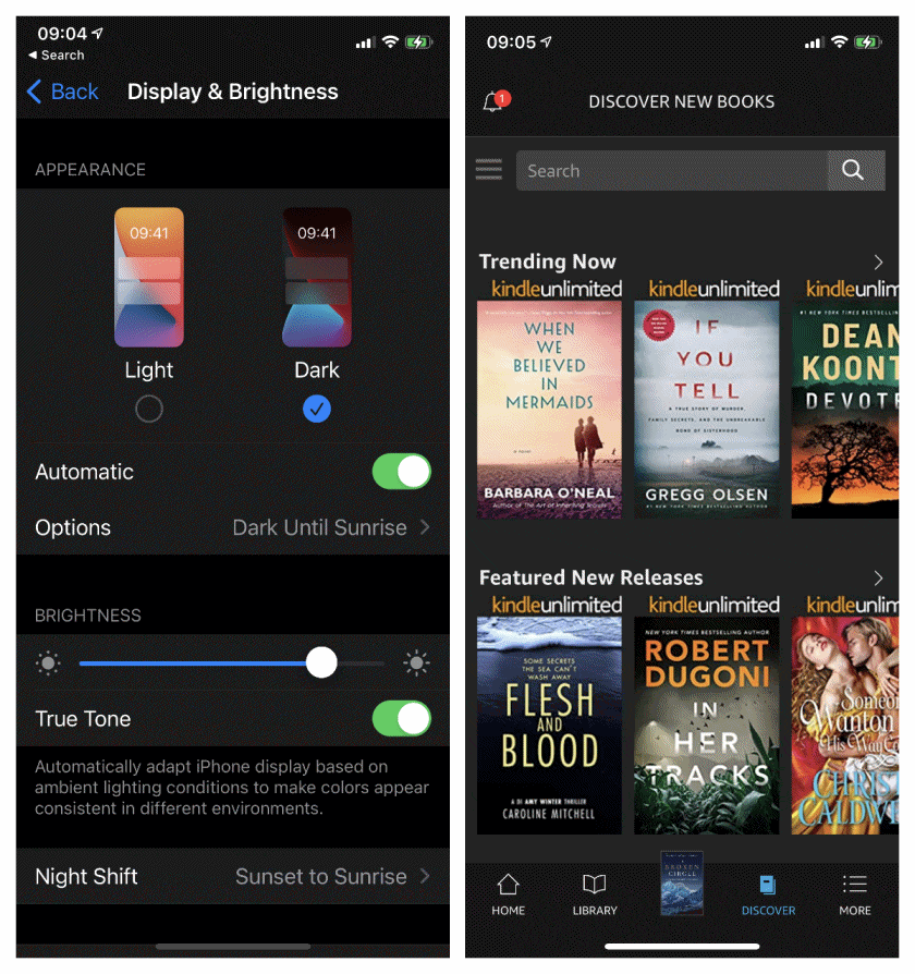 Kindle for iPad iPhone - change color of Library view