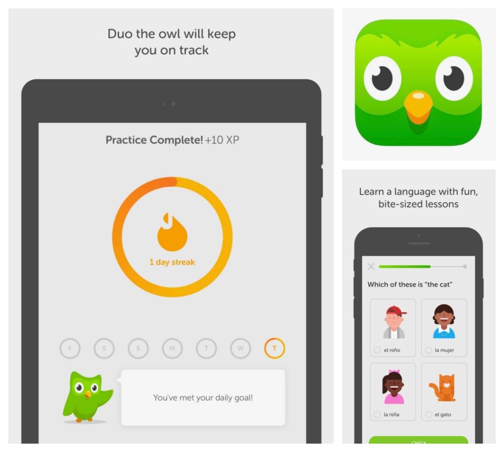 Duolingo for iPad and iPhone offers a whole new way to learn&nbsp;languages