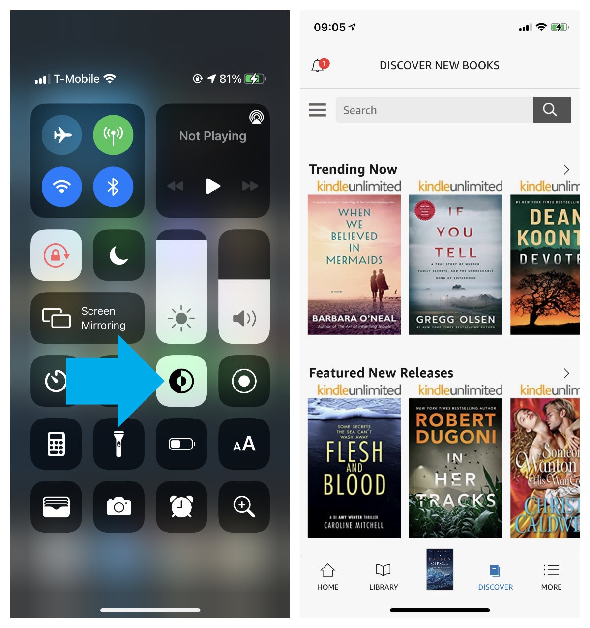 How to switch Library theme in Kindle app for iPhone iPad