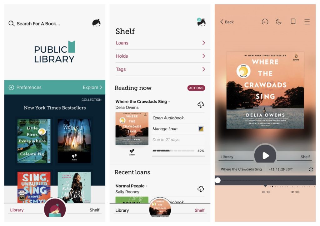 Libby iOS app lets you borrow ebooks and audiobooks from multiple&nbsp;libraries