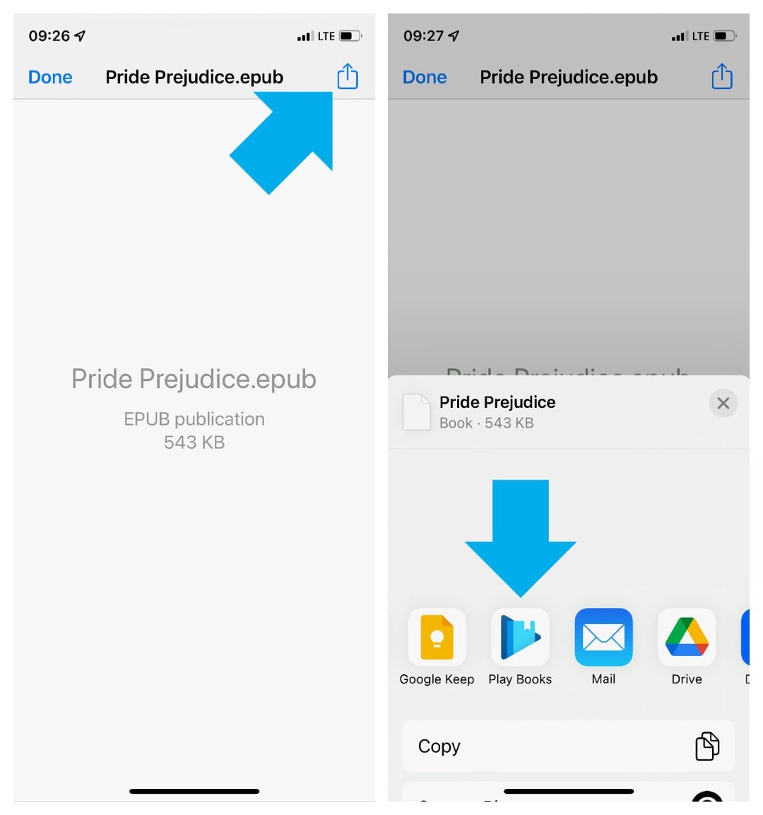Add a bionic book to iPad or iPhone book app