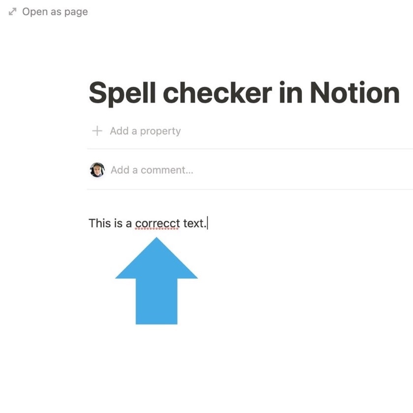 Using a spell checker with Notion – a few tips