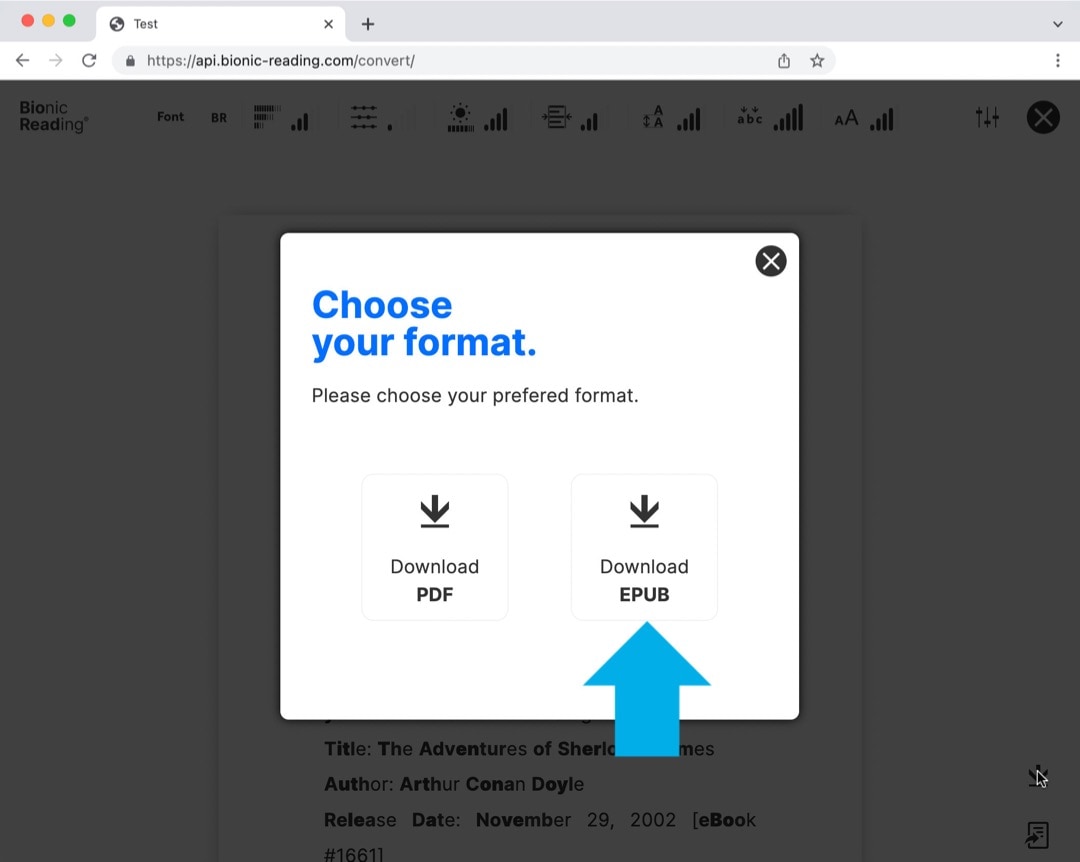 Choose epub for bionic formatted book iPad iPhone